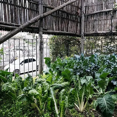 La Casa Di Luna Amazing View For Up To 5 People 波西塔諾