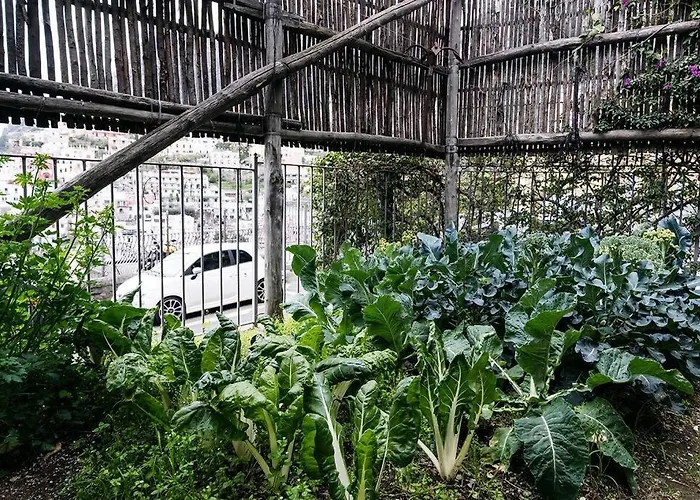 La Casa Di Luna Amazing View For Up To 5 People Positano